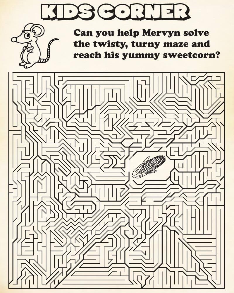 a kid's maze puzzle